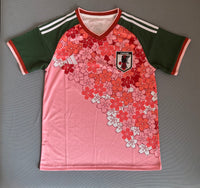 Japan 2025/26 Special Pink Green jersey